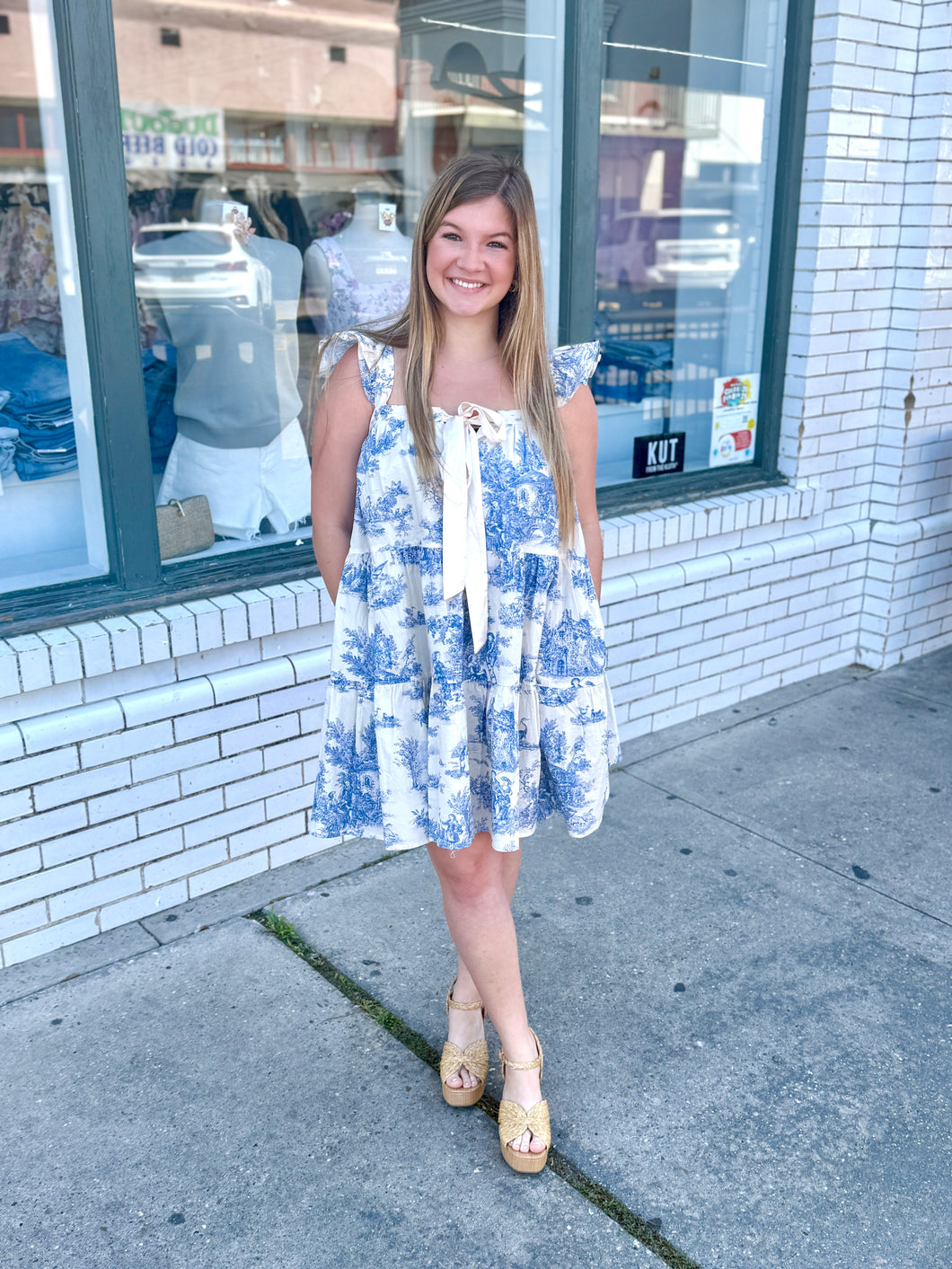 Blue Belle Toile Mini Dress