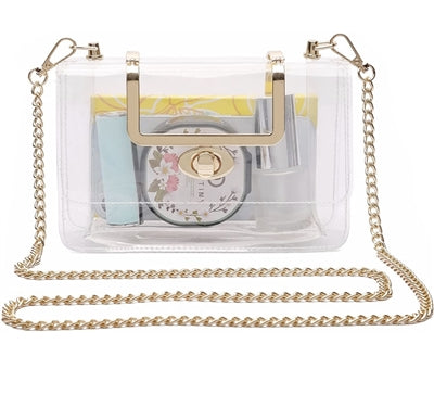 Clear & Gold Chic Handbag