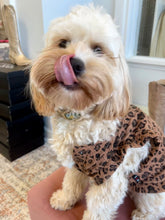 Load image into Gallery viewer, Leopard Dog Sweater