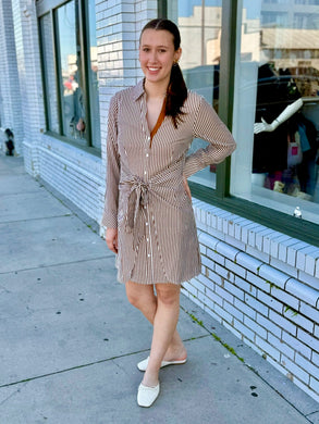 Cocoa Stripes Long Sleeve Mini dress