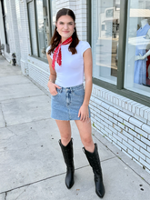 Load image into Gallery viewer, The Twinkle Babe Mini Skirt
