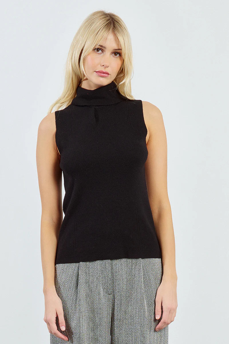 Chic and Classic Turtleneck