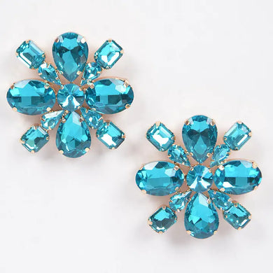 Multi-Rhinestone Bling Earring