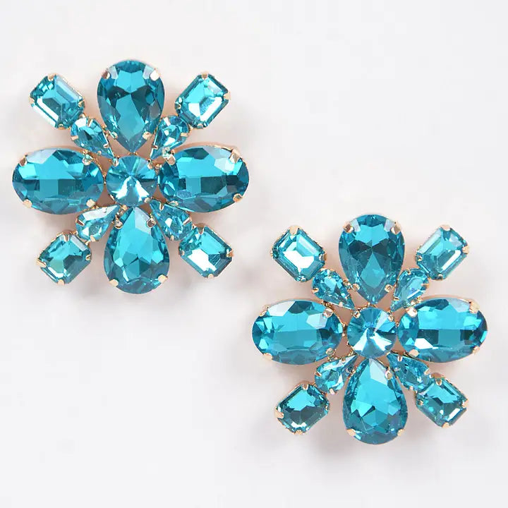 Multi-Rhinestone Bling Earring