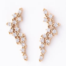 Load image into Gallery viewer, Sophia Crawler Earrings