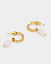 Load image into Gallery viewer, Pearl Lustre Hoop Earrings