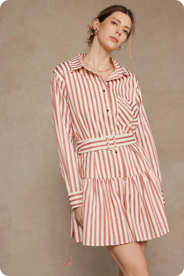 Rosy Stripes Dress