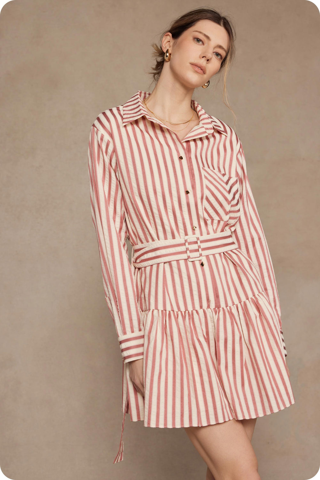 Rosy Stripes Dress