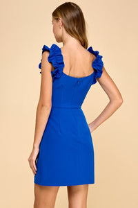 Classic Meets Unforgettable Mini Dress